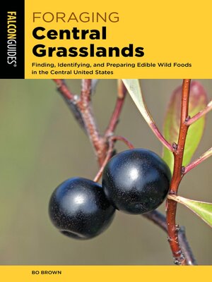 cover image of Foraging Central Grasslands